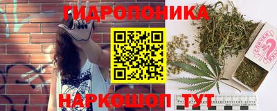 соль курить ск Гуково