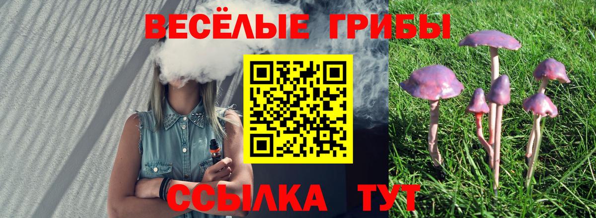 Галлюциногенные грибы ЛСД Гатчина